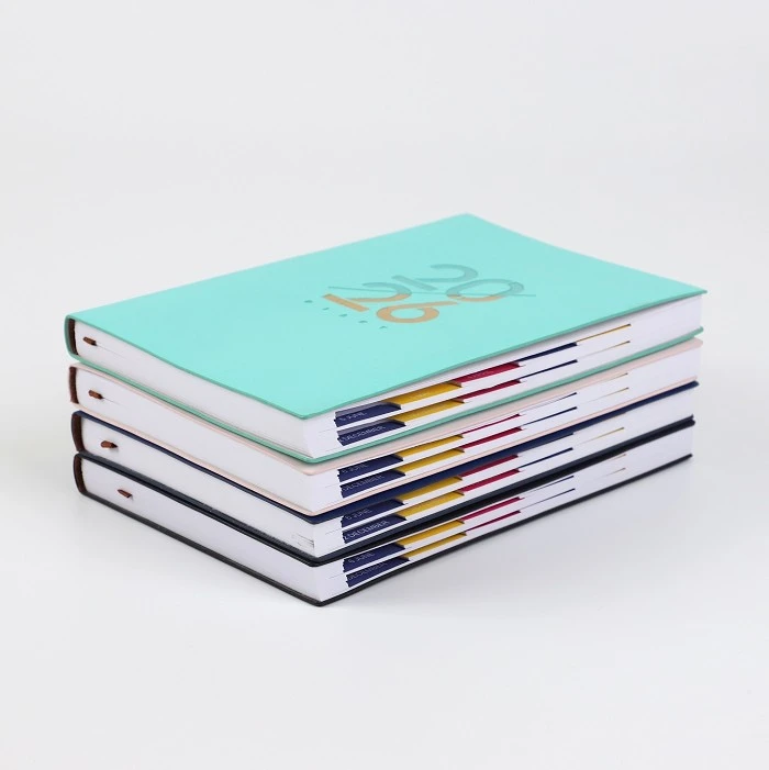 2026 Daily Diary high quality